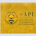 PROGETTO “+API” – CONTEST “GIOVANI WANNABEE”