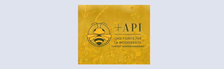 Scopri di più sull'articolo PROGETTO “+API” – CONTEST “GIOVANI WANNABEE”